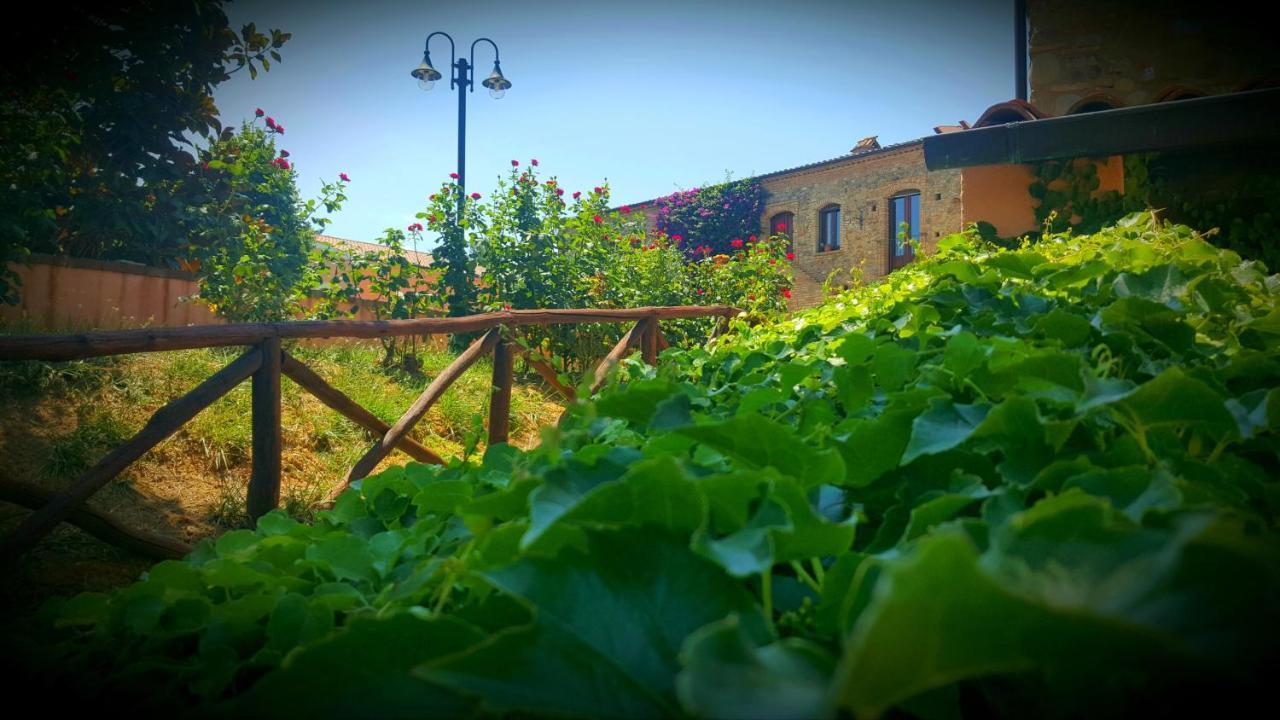 La Masseria Lolivia 세니스 외부 사진